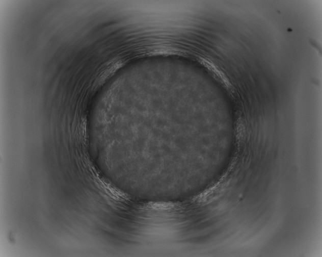 X0000097810825200804041334