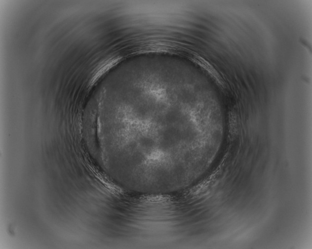 X0000097810826200804041334