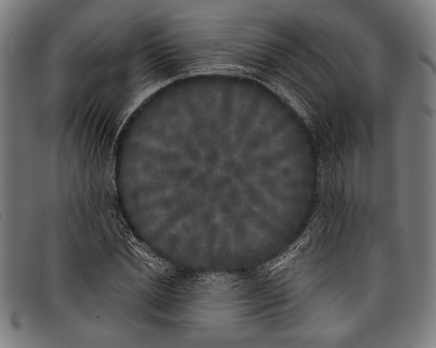 X0000097810830200804041334