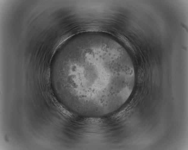 X0000097810831200804041334