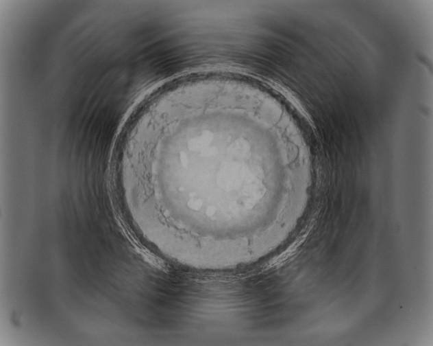 X0000097810832200804041334