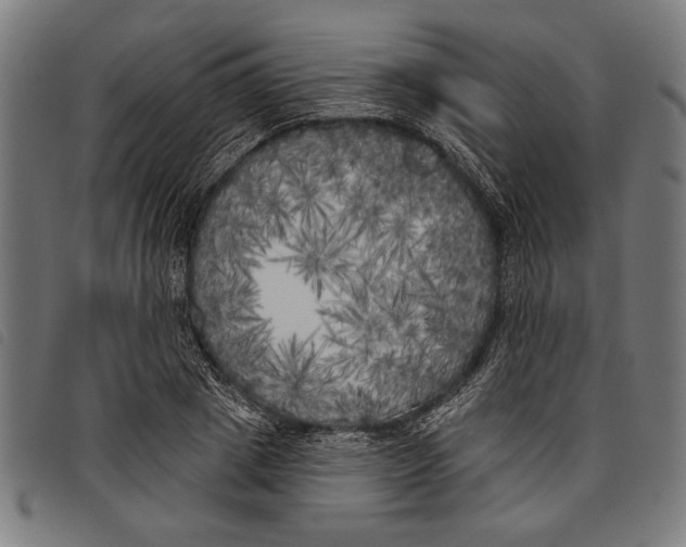 X0000097810833200804041334