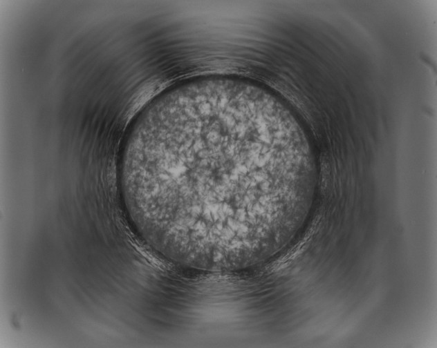 X0000097810834200804041334