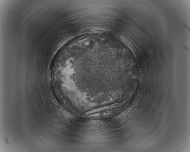 X0000097810835200804041334