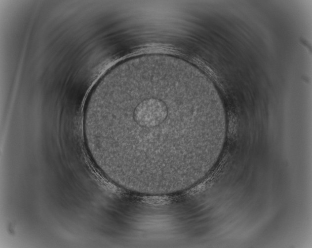 X0000097810836200804041334