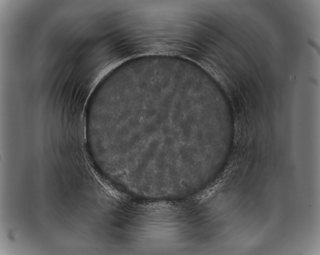 X0000097810838200804041334