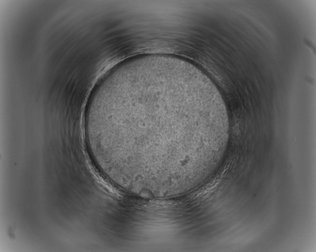 X0000097810840200804041334