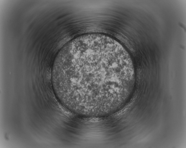 X0000097810841200804041335