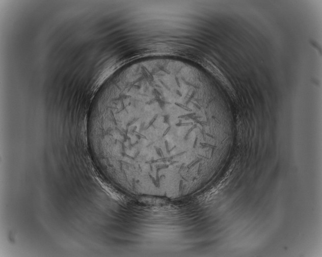 X0000097810842200804041335