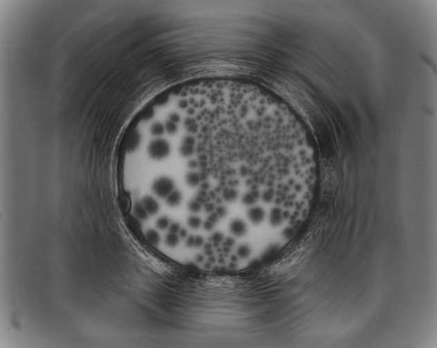 X0000097810843200804041335