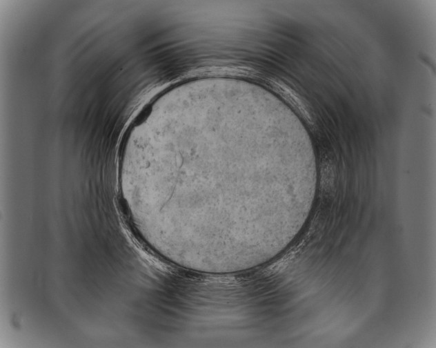 X0000097810844200804041335