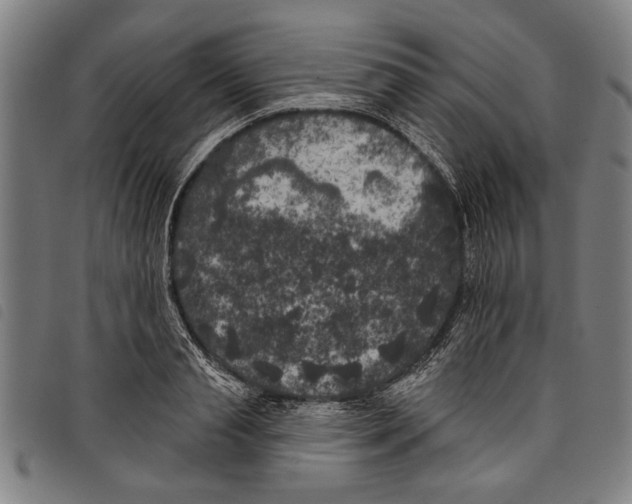 X0000097810845200804041335