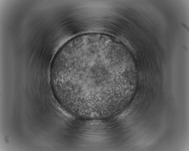 X0000097810846200804041335