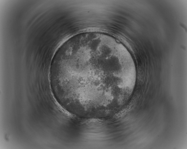 X0000097810847200804041335