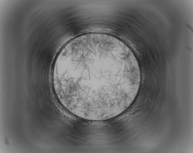 X0000097810848200804041335