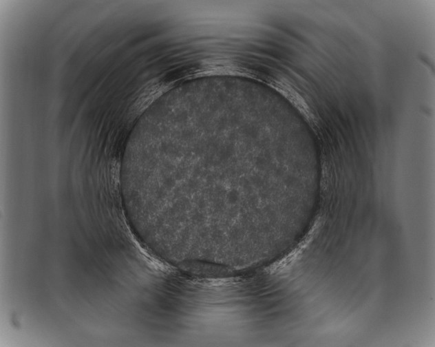 X0000097810849200804041335