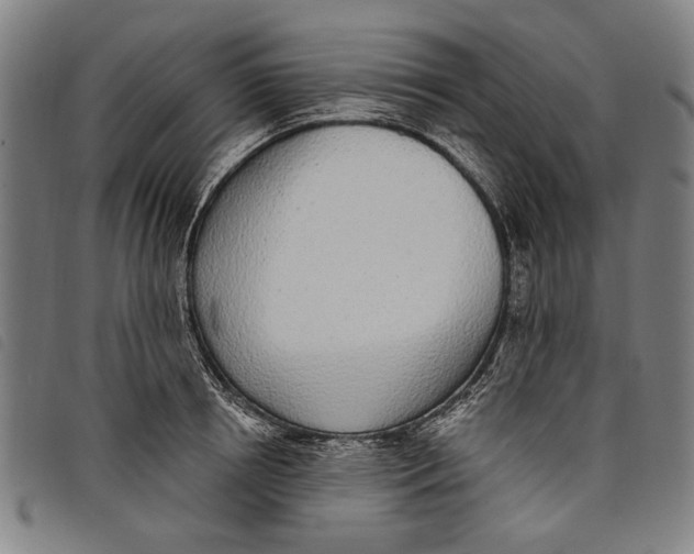 X0000097810850200804041335