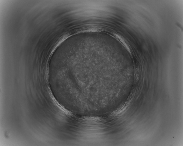 X0000097810851200804041335