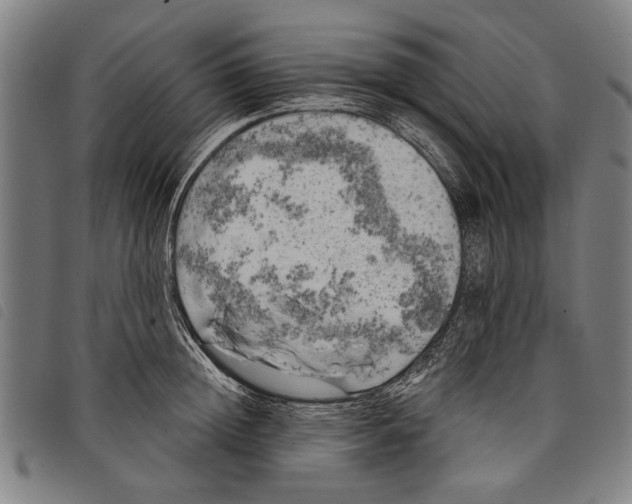 X0000097810852200804041335