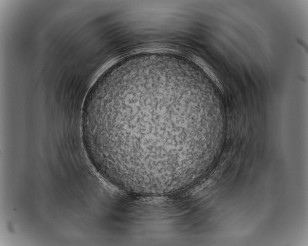 X0000097810853200804041335