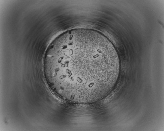 X0000097810854200804041335