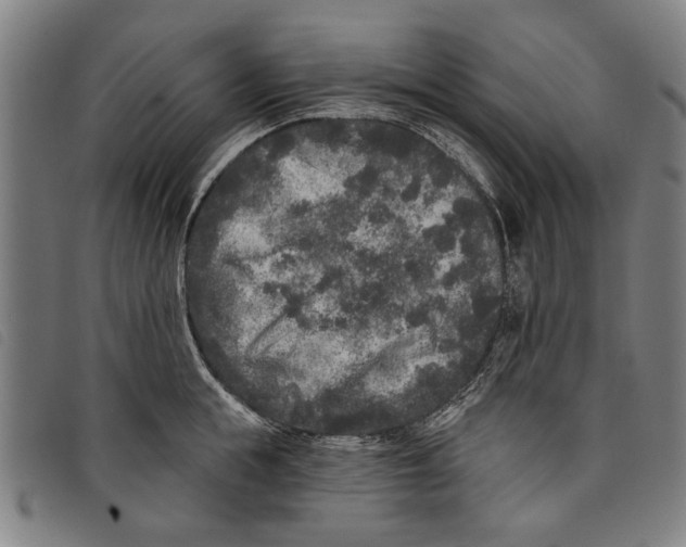 X0000097810855200804041335