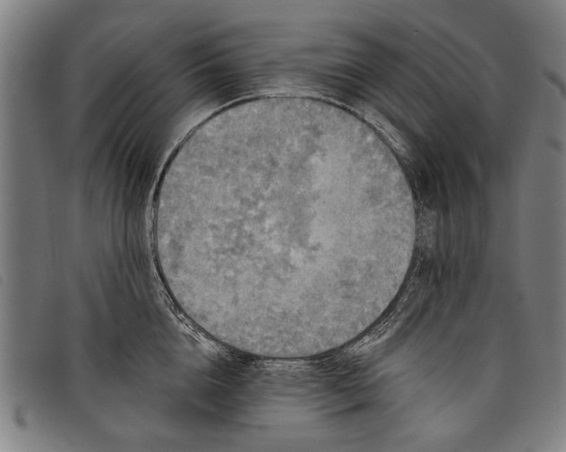 X0000097810856200804041335