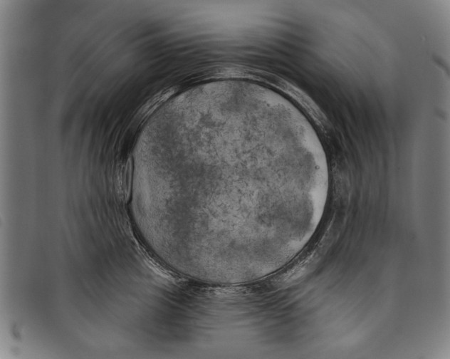 X0000097810857200804041335