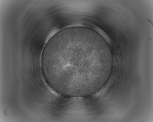 X0000097810858200804041335