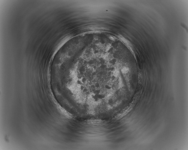 X0000097810859200804041335