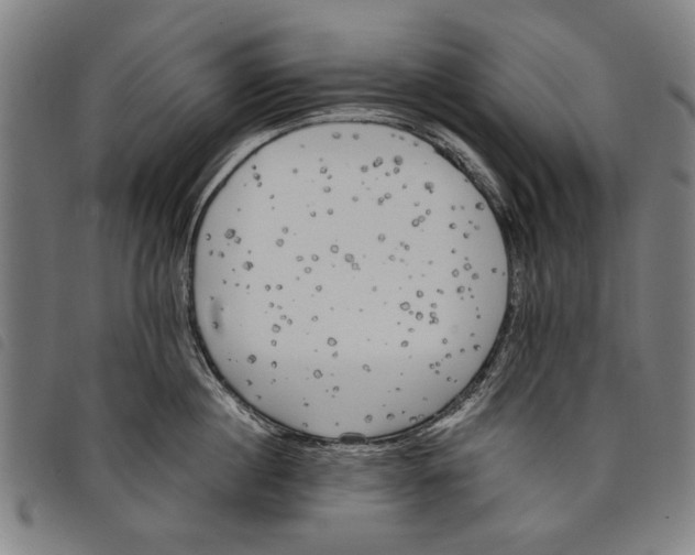 X0000097810860200804041335