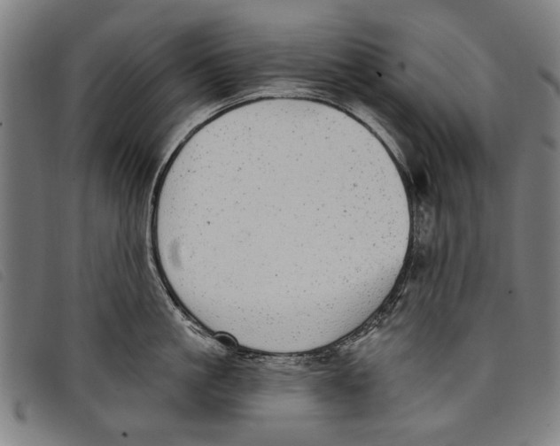 X0000097810861200804041335