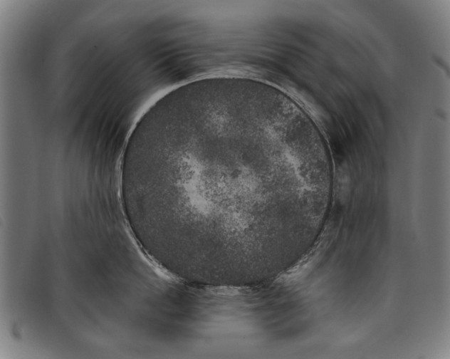 X0000097810862200804041335