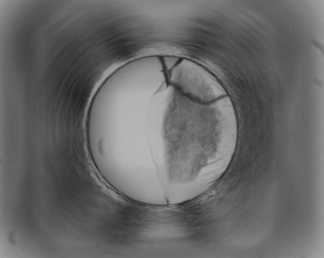 X0000097810864200804041335