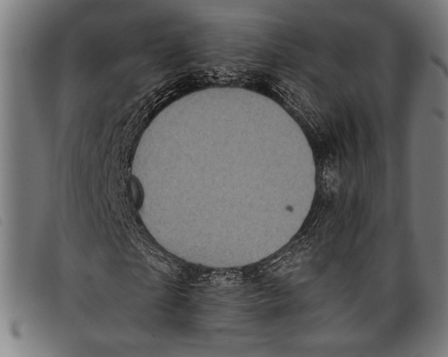 X0000097810865200804041334