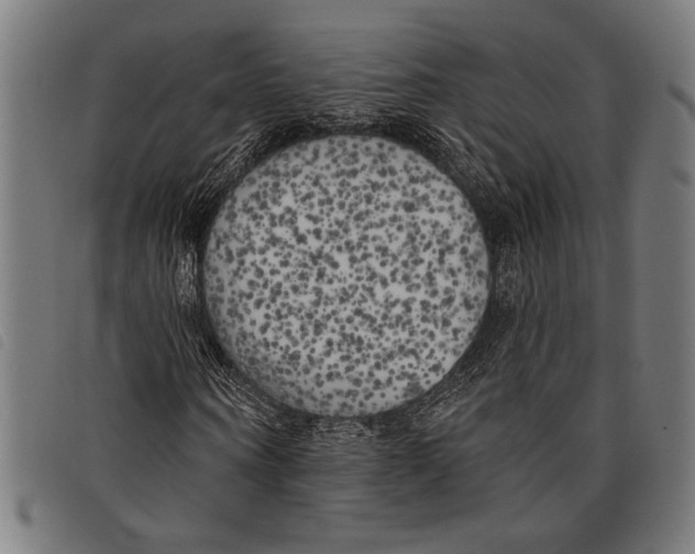 X0000097810866200804041334