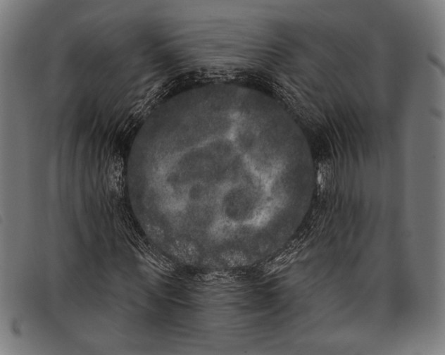 X0000097810867200804041334