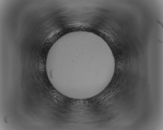 X0000097810869200804041334