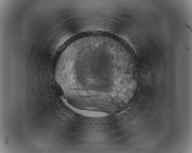 X0000097810871200804041334