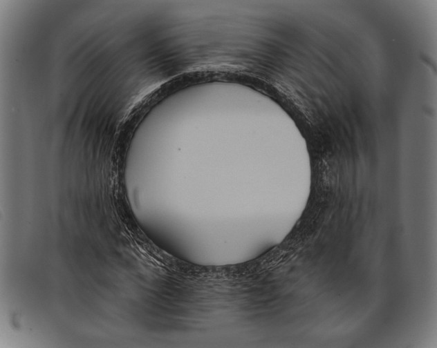 X0000097810872200804041334