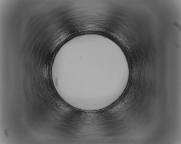 X0000097810873200804041334