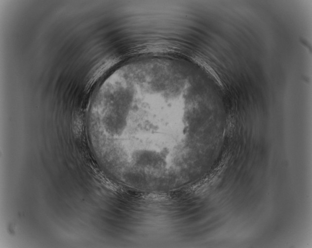 X0000097810874200804041334