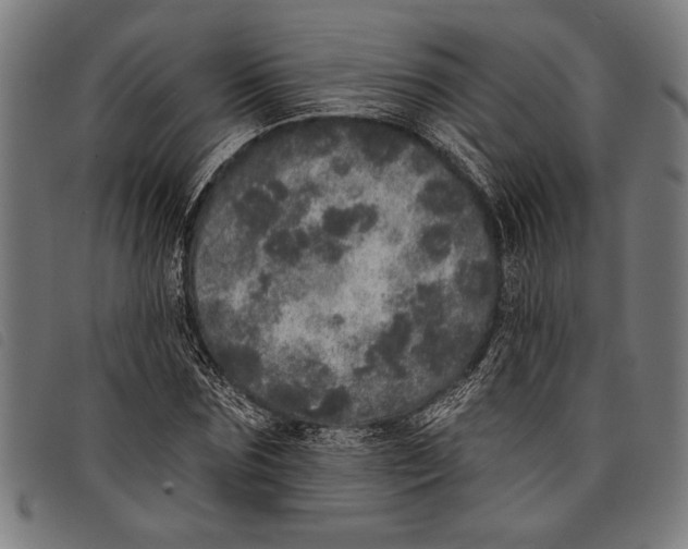 X0000097810875200804041334