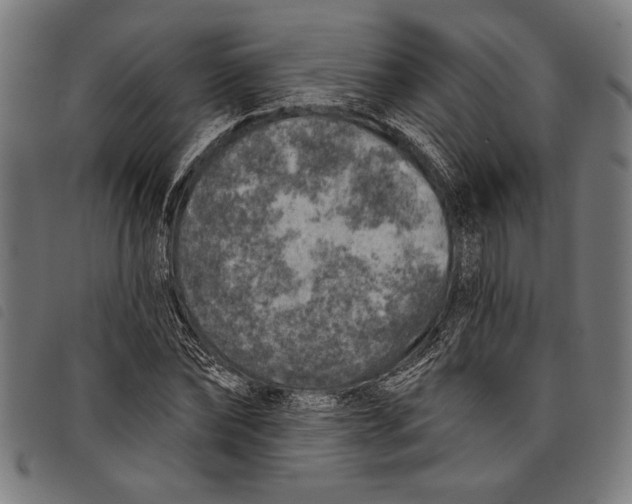 X0000097810878200804041334