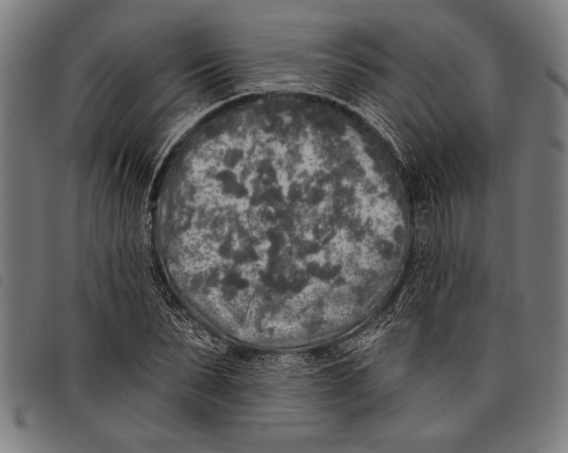 X0000097810879200804041334