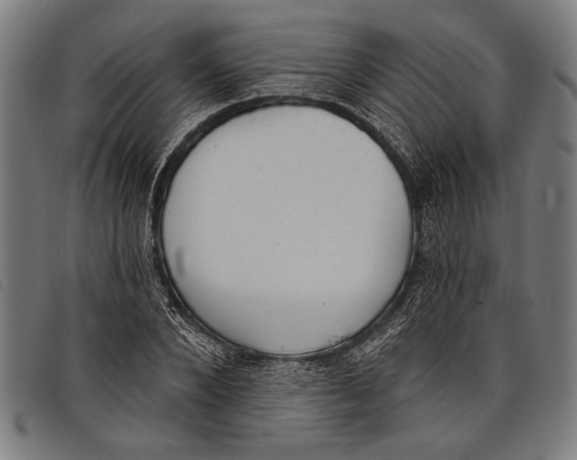 X0000097810880200804041334