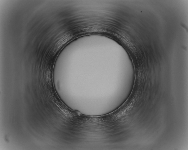 X0000097810881200804041334