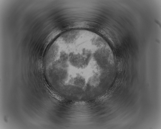 X0000097810882200804041334