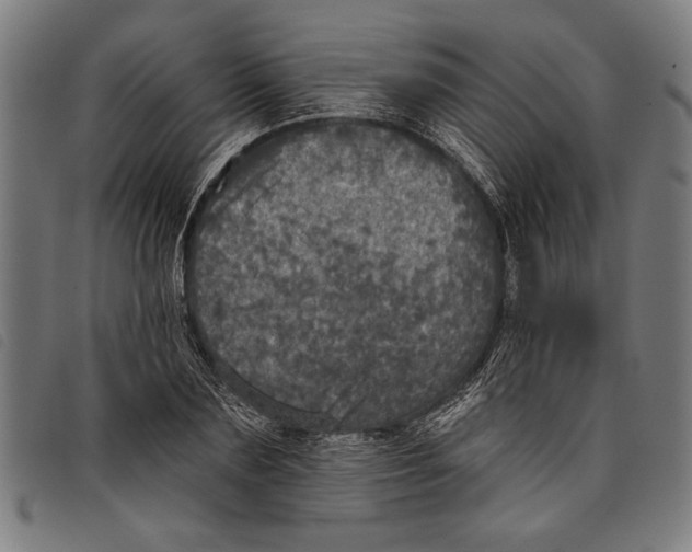 X0000097810883200804041334