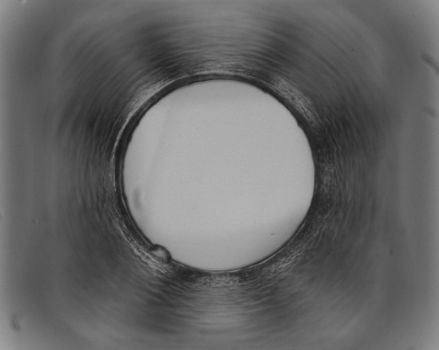 X0000097810884200804041334